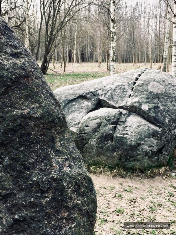 photo 1871725