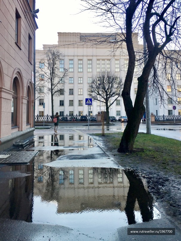 photo 1858947