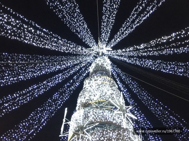 photo 1859065