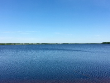 photo 1880412