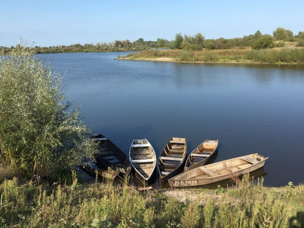 photo 1975435