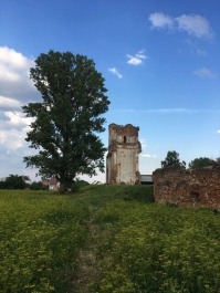 photo 1975459