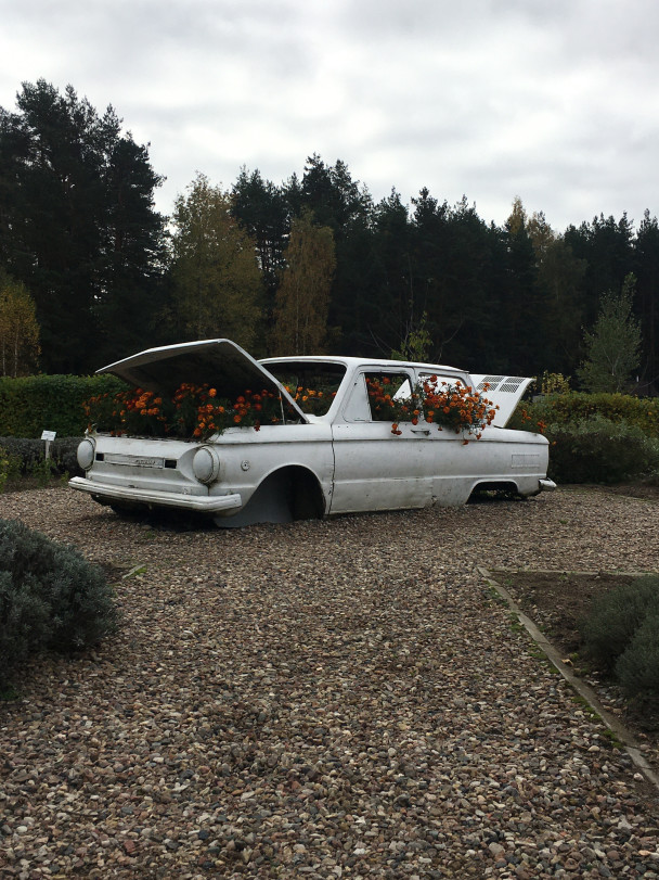 photo 1986983