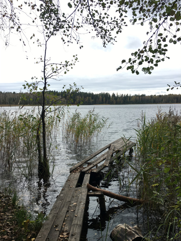 photo 1986988