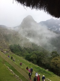 photo 1837590