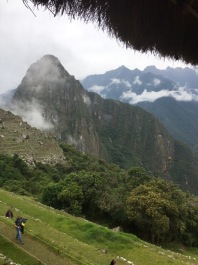 photo 1837591
