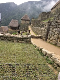 photo 1837592