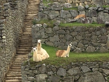 photo 1837602