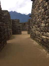 photo 1837603