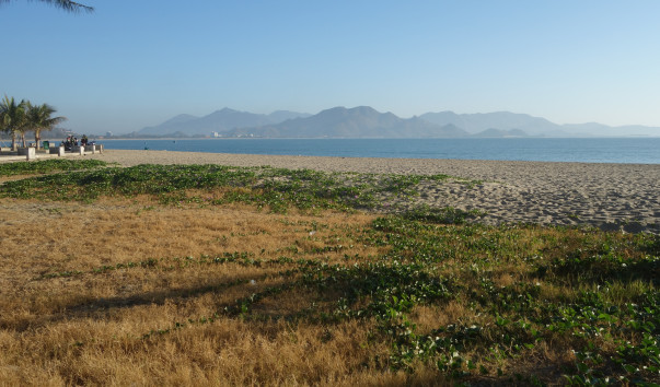 DSC00376