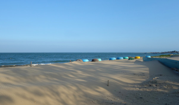 DSC00117