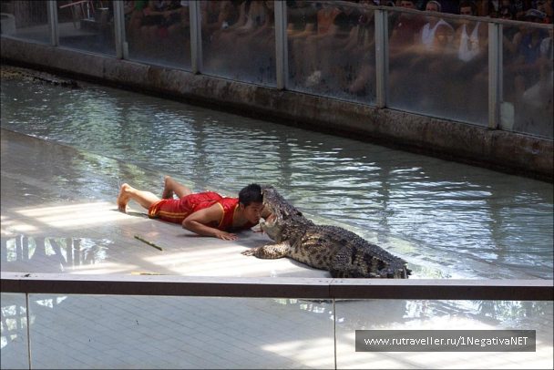 photo 673671
