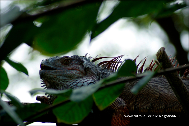 photo 673709
