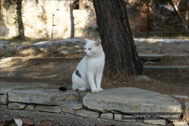 photo 875688