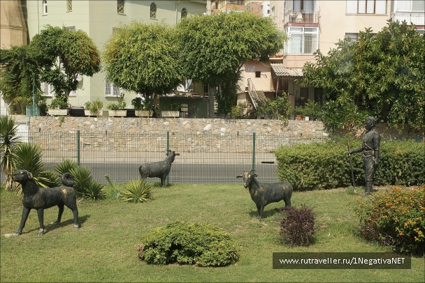 photo 875697