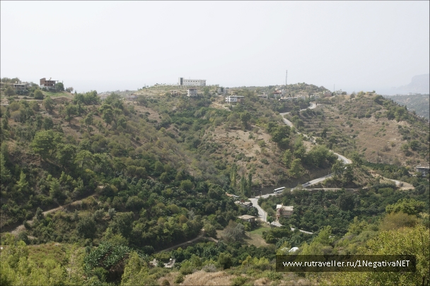 photo 875722
