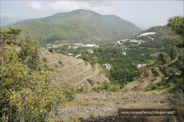 photo 875728