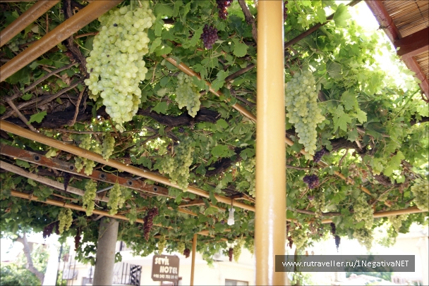 photo 875762