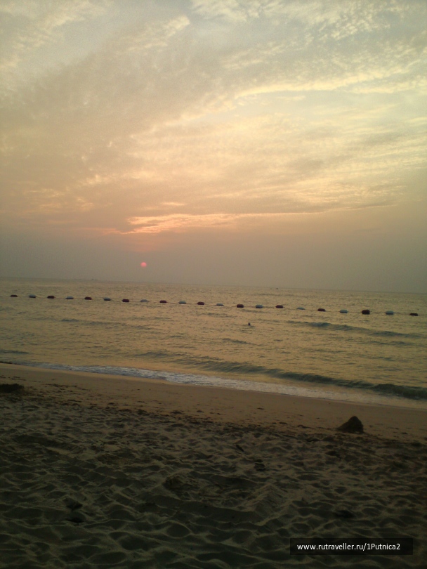 photo 1353620