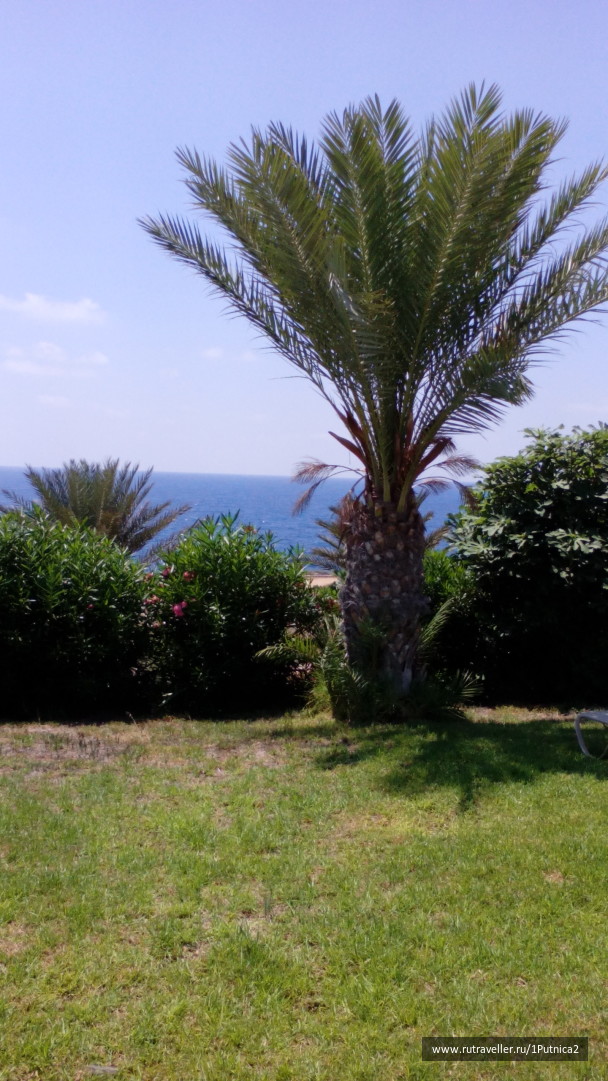 photo 1353624
