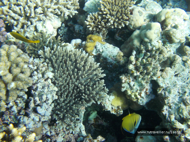 photo 649512
