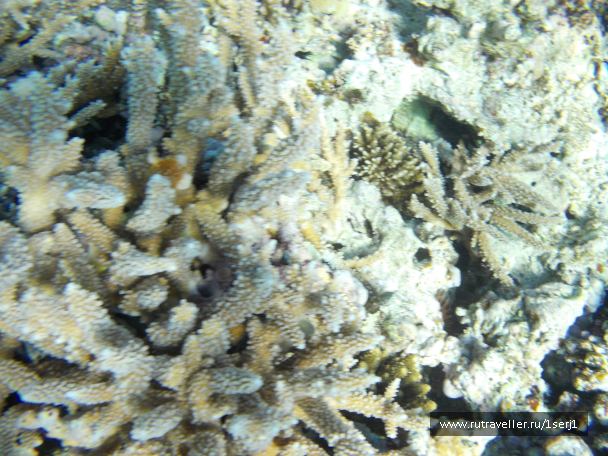 photo 649514