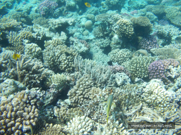 photo 649521