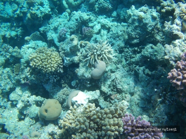 photo 649547