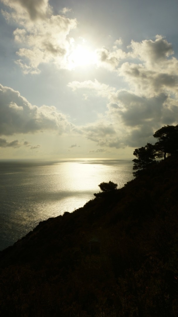 photo 1882666