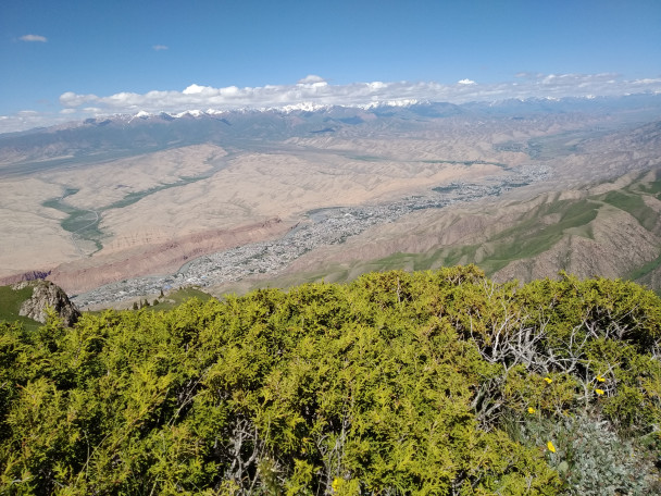 photo 1883047