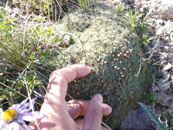 photo 1883051