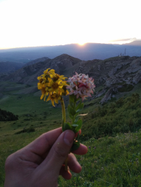 photo 1883064