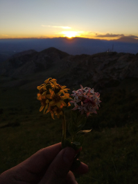 photo 1883065