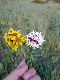 photo 1883066