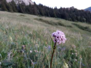 photo 1883068