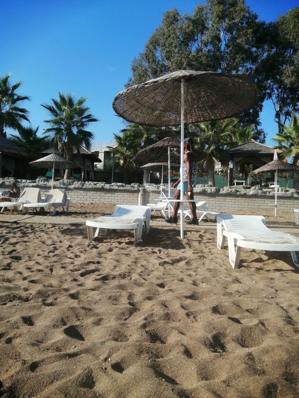 photo 1981440