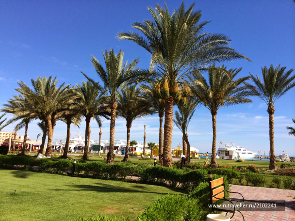 photo 2030686