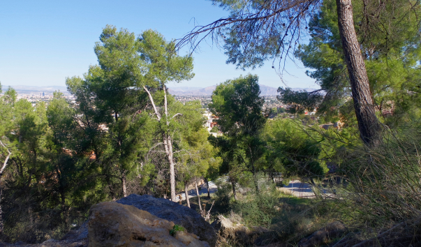 IMGP0627