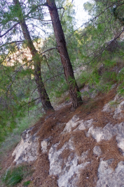 photo 2048289