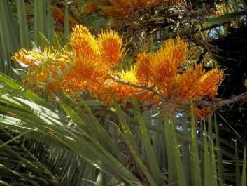 photo 2048411