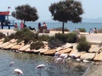 photo 2057448
