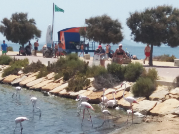 photo 2057451