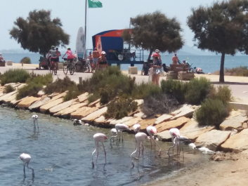 photo 2057452