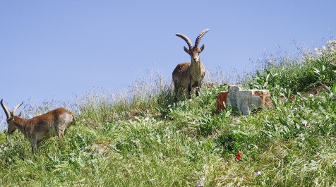 photo 2050348