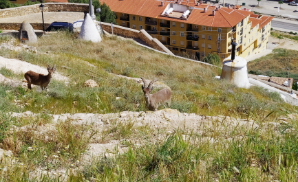 photo 2050352