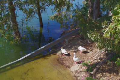 photo 2061214