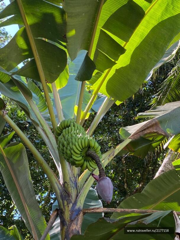 photo 2101651