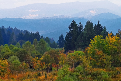photo 2105745