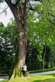 photo 2112752
