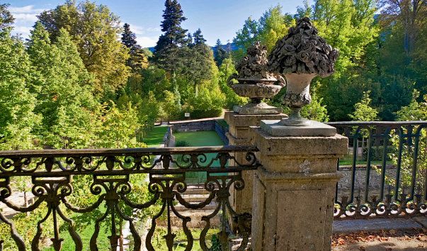 _LOL1436
